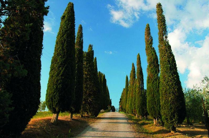 Le Traverse Pienza Kültér fotó
